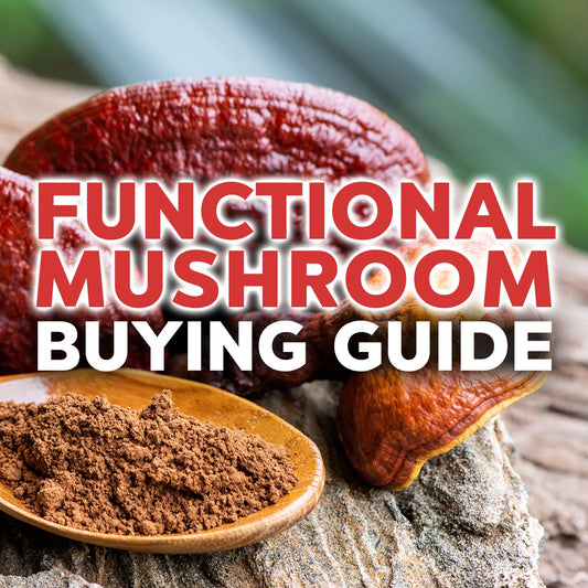How to Select the Most Effective Functional Mushroom Products (Buying Guide)