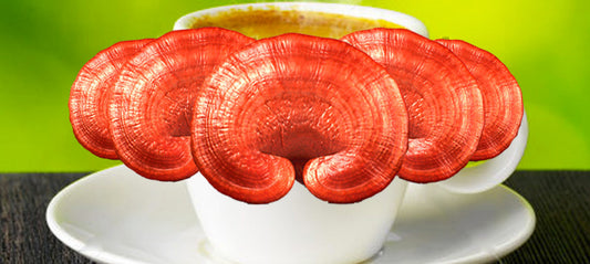 Epic Reishi Espresso