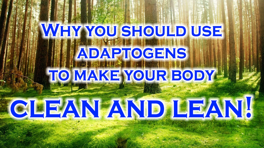 Why you should use adaptogens to make your body clean and lean!