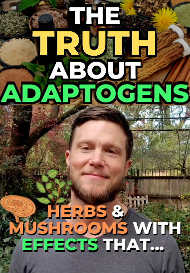 The Truth About Adaptogens (1 Minute Video)