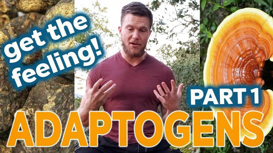 What Does Taking Adaptogens (Adaptogenic Herbs) Feel Like? PART 1