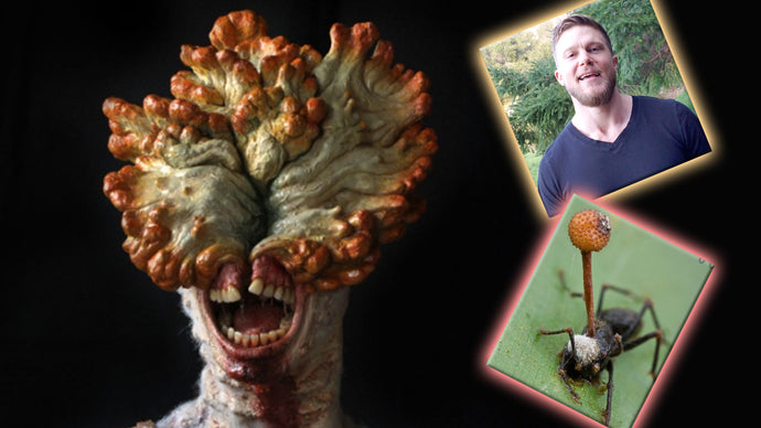 Can Medicinal Mushrooms Turn You Into a Zombie?