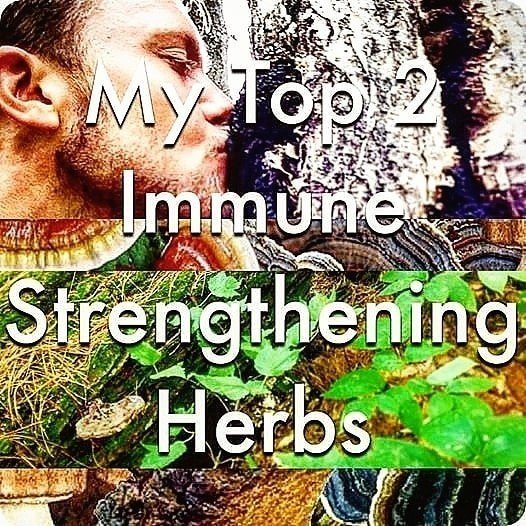 Top 2 Immune Strengthening Herbs